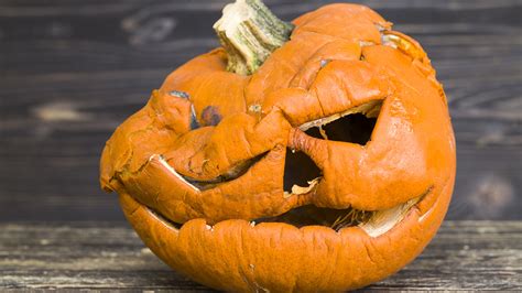 How to pick a pumpkin that won’t rot on your porch (at least not right away)